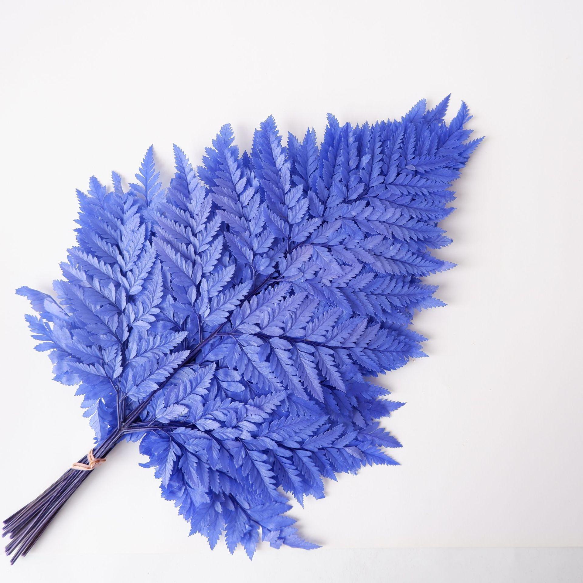 

Вечный альпийский папоротник Золотой альпийский папоротник Бессмертный цветок Сухоцветный букет Свадебное украшение с травой синий