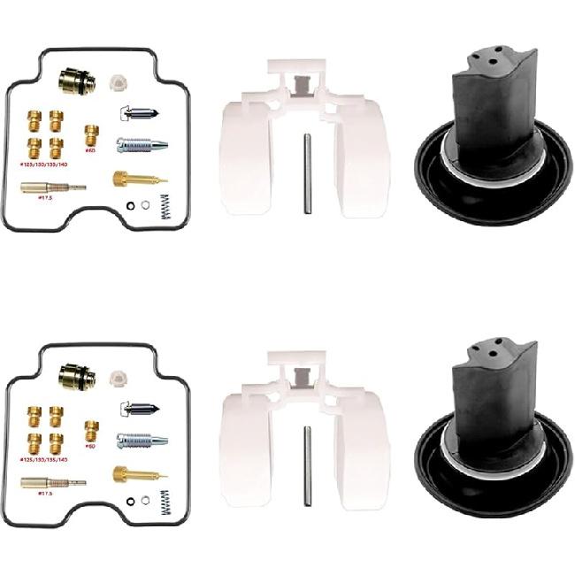 Carburetor Repair Kit with Float & Diaphragm for GS-F 500 GS500F HK/HL 2004-2011(D) D