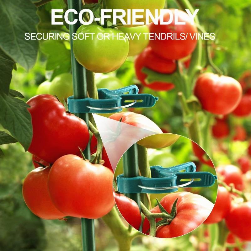 60/20pcs Plant Fixed Clips Reusable Garden Bracket for Tomato Cucumber Climbing Plants Vine Organizing Branch Support Clip Tools