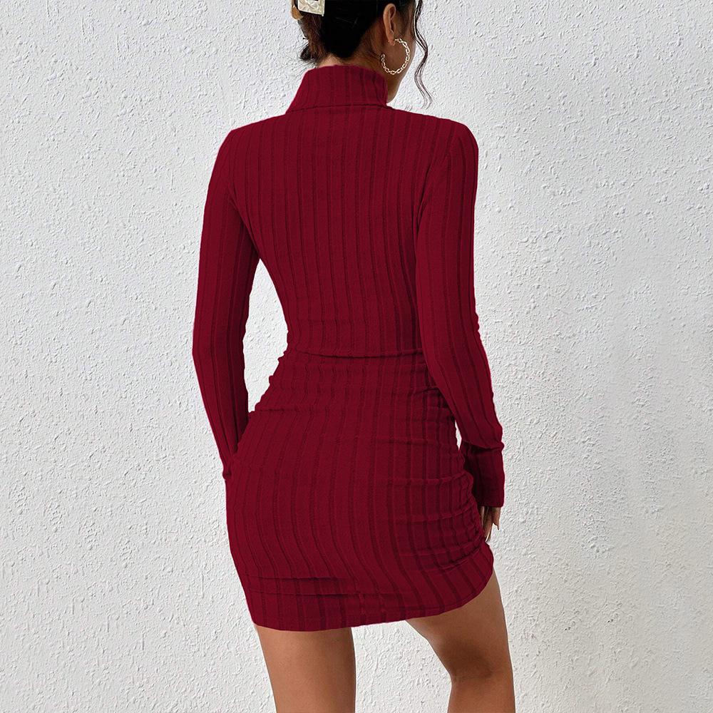 2024 Women's European & American Mature Style Wine Red Dress - Autumn/Winter High Neck Versatile Short Skirt