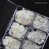 500PCS Lightweight Full Coverage False Nail Tips 11 Sizes Transparent Natural Plastic for Nail Art Home Salon DIY