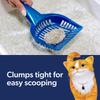 Heavy Duty Clumping Cat Litter with Odor Control Febreze Freshness 30 Day Odor Elimination Low Dust Formula All Cats
