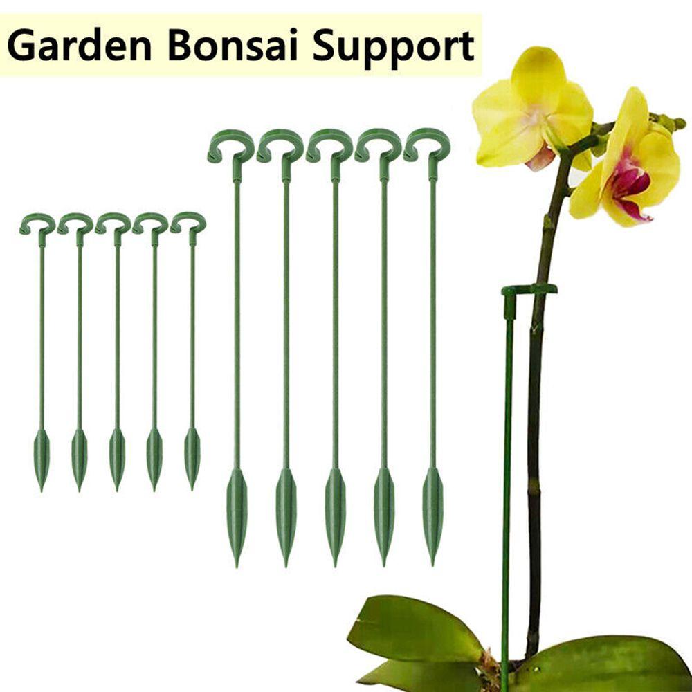 

Plant Single Stem Plant Support Stake Bonsai Flower Protection Frame Phalaenopsis Support Rod
