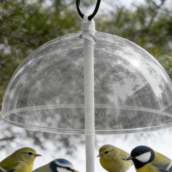 Regulowany karmnik dla ptaków Wiszący karmnik dla ptaków z przezroczystą kopułą chroniącą przed deszczem Zewnętrzna tacka na nasiona dla ptaków do ogrodu, tarasu, dla dzikich ptaków