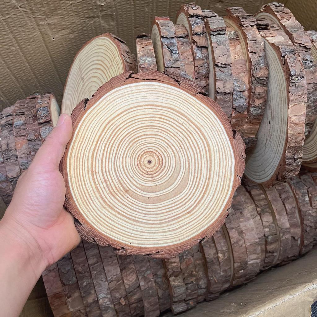 DIY Hand-Painted Wooden Slices for Crafts and Kindergarten Decor – Small Natural Wood Pieces with Growth Rings