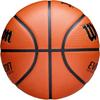 Wilson Evolution Game Basketball JBA Black Size 5