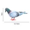 Simulation Pigeon Model Store Scenery Educational Toys