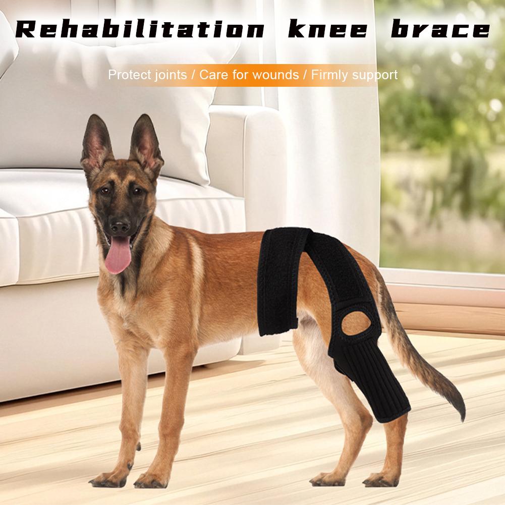 Breathable Adjustable Pet Joint Protection Covers Comfortable Dog Knee Brace Rear Leg Brace Dog Arthritisd Protector Leg Wrap