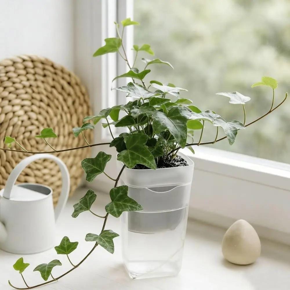 12 Set Dual Layers Self Watering Pots Clear Plastic Seedling Plant Pot Plant Propagation
