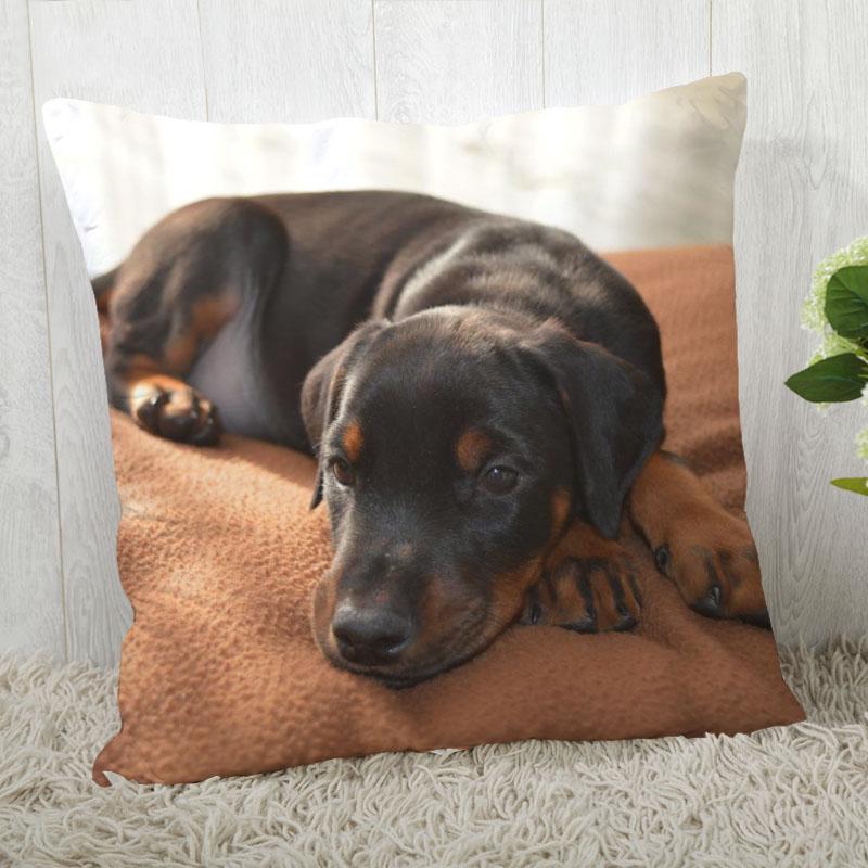 Pillowcase Doberman Pinscher  Modern Home Living Room Decoration