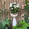 Cement Flower Pot Decorative Plant Pots Indoor Elegant Flowerpots Large Modern Luxury Floor Flowerpot Gardening Accessories