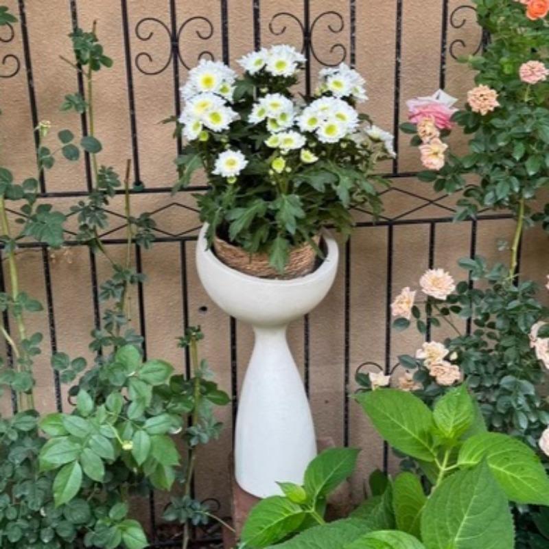 Cement Flower Pot Decorative Plant Pots Indoor Elegant Flowerpots Large Modern Luxury Floor Flowerpot Gardening Accessories