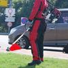 KAZZ GX50-1 4-Stroke Gasoline Brush Cutter CN Plug (adapter Included)