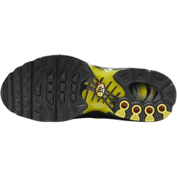 Nike Air Max Plus GS Wolf Grey Opti Yellow Kids Sneakers Black CD0609-033