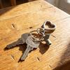 10 Pcs Radiator Keys for Bleeding Old Home, Metal Copper Alloy Radiator Bleed Key, Gas Key Hot Water Flush Plumbing Tool Replacement(Silver)