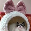 2pcs Chunky Chenille Yarn Wide Soft Arm Knitting Thick Yarn In Solid Colors for Scarves Hats Bags
