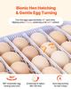 48 Egg Incubator, Automatic Egg Turner with LED Candler, Temperature Display & Auto Humidity Control, 360° View Clear Window, Poultry Eggs Incubator
