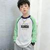 Parte superior (Meninos a partir de 4 anos) – T-Shirts
