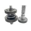 Motor Getriebe Zahnradsatz Für GY6 150cc 200cc Go-Kart Dune Buggy Roller Für Polaris 150UTV Für Jinliang 150CC 200CC Gokart