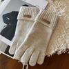 Fashion Winter Warm Gloves Women Korean Touch Screen Gloves Finger Holes Solid Color Thickened Warm and Cold Resistant Glove