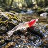 6cm 3g Soft Bait Shrimp Lure with Hook Realistic Shrimp Shape Fishing Lure for Freshwater Saltwater Fishing Tackle