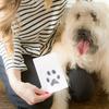 Pet Paw Print & Photo Frame Kit Clean-Touch Inkless Pad for Dogs & Cats Baby Hands Footprint Paw Keepsake Memory Display