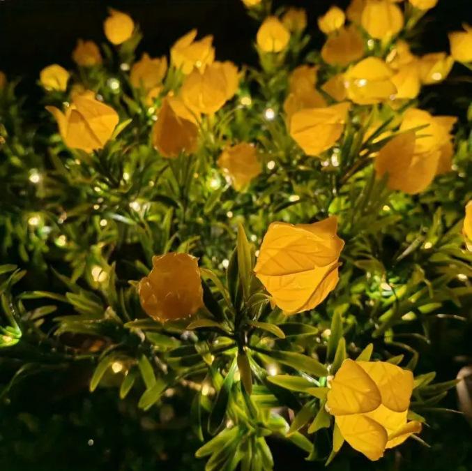 Solar LED Lights Gardenias Flower Lawn Lamp IP65 Outdoor Waterproof for Yard Patio Courtyard Garden Ambience Ornamental Light