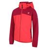 Dare 2B Childrens/Kids Cheer Soft Shell Jacket