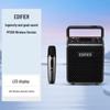EDIFIER PP205 Portable Wireless Bluetooth KTV Speaker
