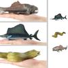 Bonrich Simulated Marine Animal Kids Children Educational Toy Plastic Lifelike Creatures Sea Life Home Decoration