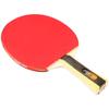 DHS 1-Star Table Tennis Racket