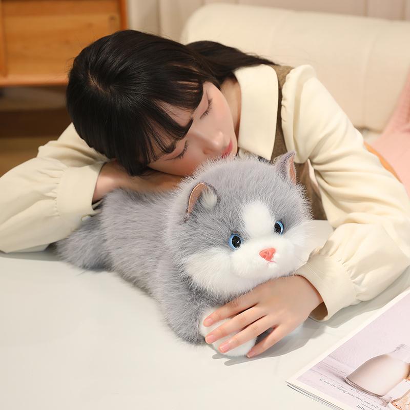 45/55CM Cuddly Lifelike Ragdoll Cat Plush Toys Fluffy Cozy Lying Prone Pet Cat Doll Warm Appease Kitten Doll Kawaii Home Decor