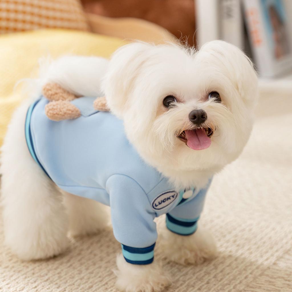 Pet clothes pocket three-dimensional bear traction two-legged sweater can lead pet dog dog clothes when going out in autumn and winter