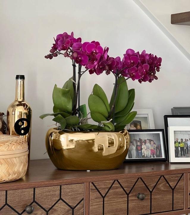 Doniczka Osłonka Ceramiczna Rynna Złota Do Kwiatów Prezent Kompozycja 26 Cm