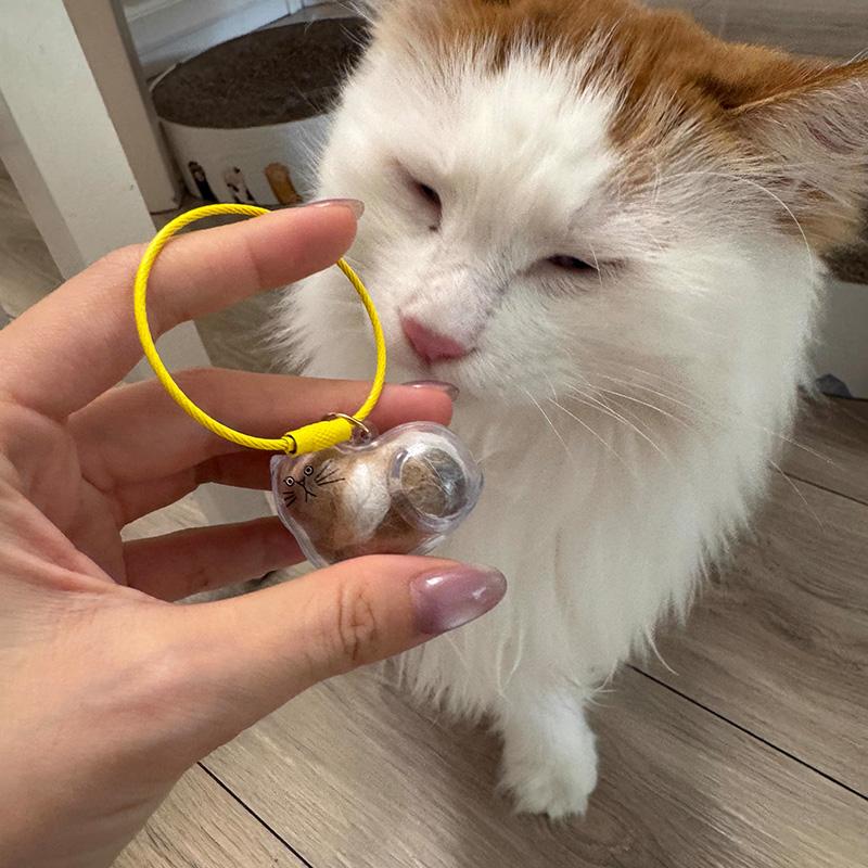 1/3/6 Buc. Capsulă Transparentă pentru Păstrarea Suvenirurilor Animalului de Companie, Puf Drăguț de Animal de Companie pentru Pisică, Breloc, Pandantiv, Cutie Suvenir, Sticlă Comemorativă