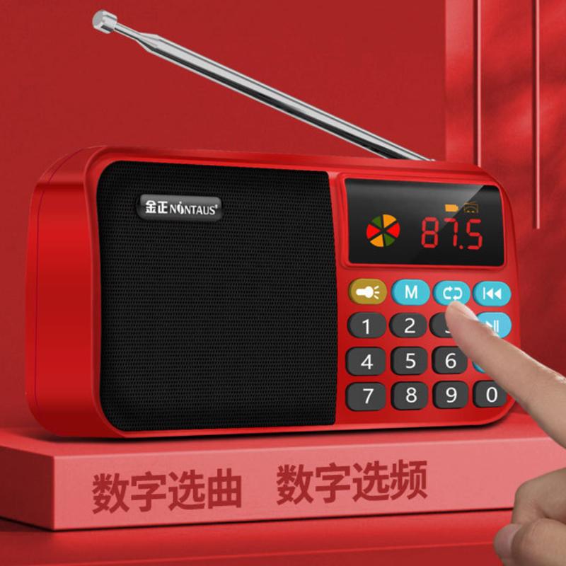 Tragbares Mini-FM-Radio, kabellose Bluetooth 5.0-Lautsprecher, TF, USB, LED-Blitzfunktion, unterstützt 3,5-mm-Kopfhörer, MP3-Player