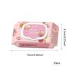 BUY 1 GET 1 FREE  INCLUDES 2 PACKS Gentle Disposable Makeup Remover Wipes HA626 - Non-Irritating Cleansing Wipes