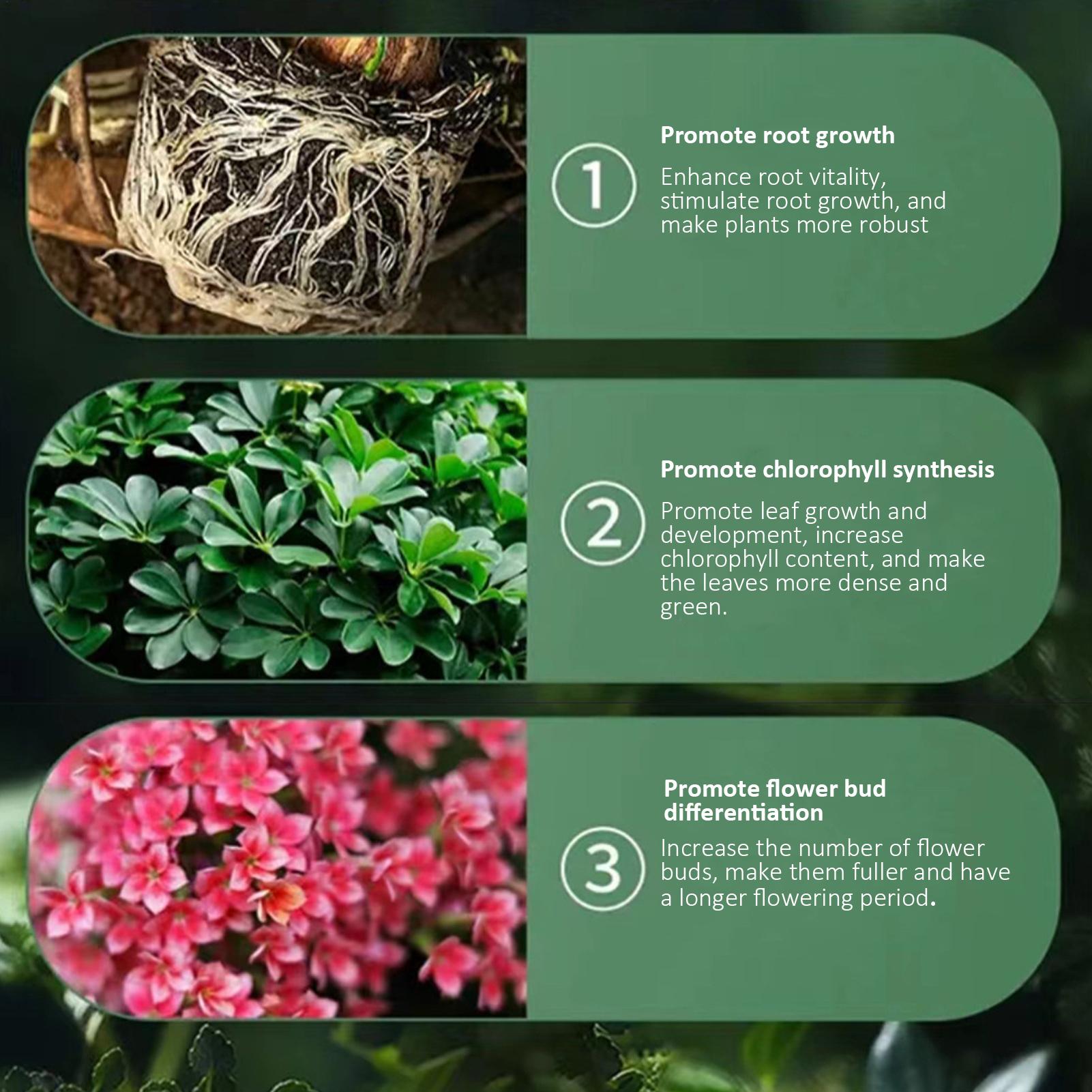 

18 pcs/box of plant nutrient slow-release stick fertilizer for household flower cultivation stick shaped flower Fertilizer China Mainland
