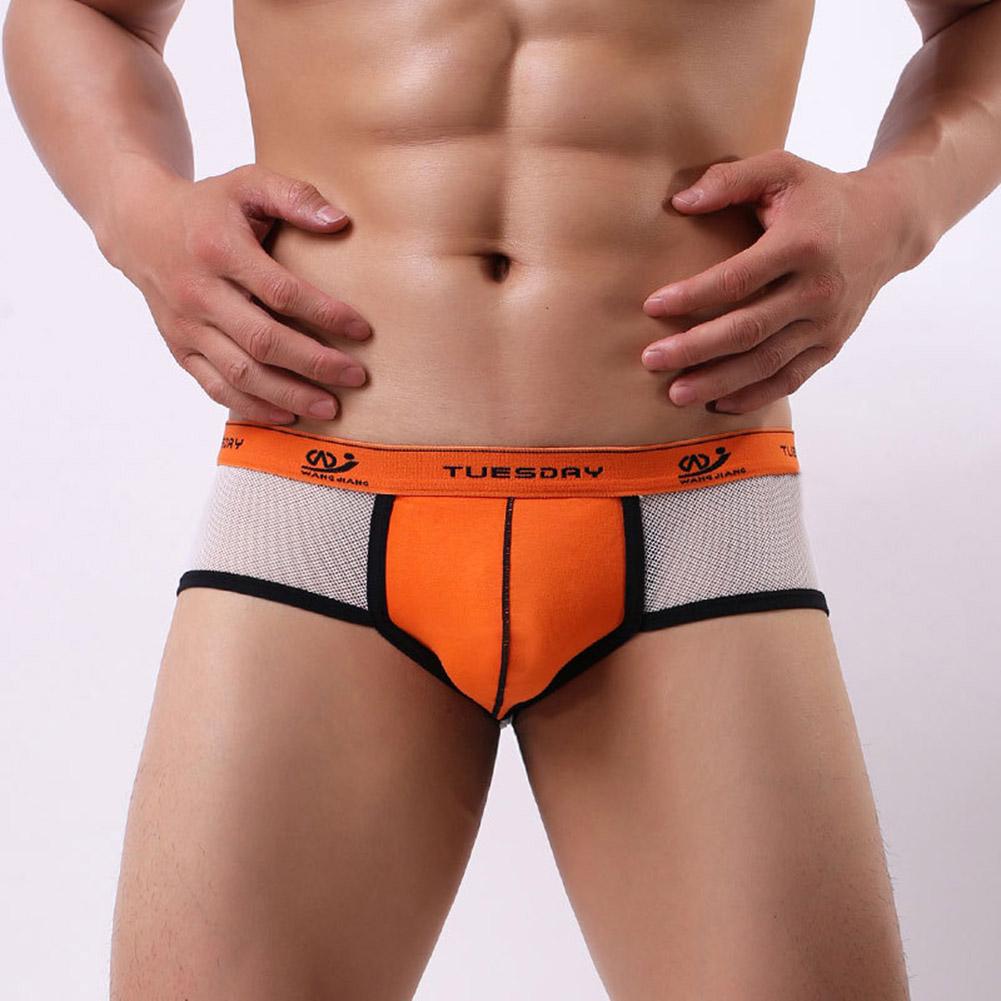 Men Underpants Convex Underwear Briefs Elastic Mesh Breathable Sexy Low Waist