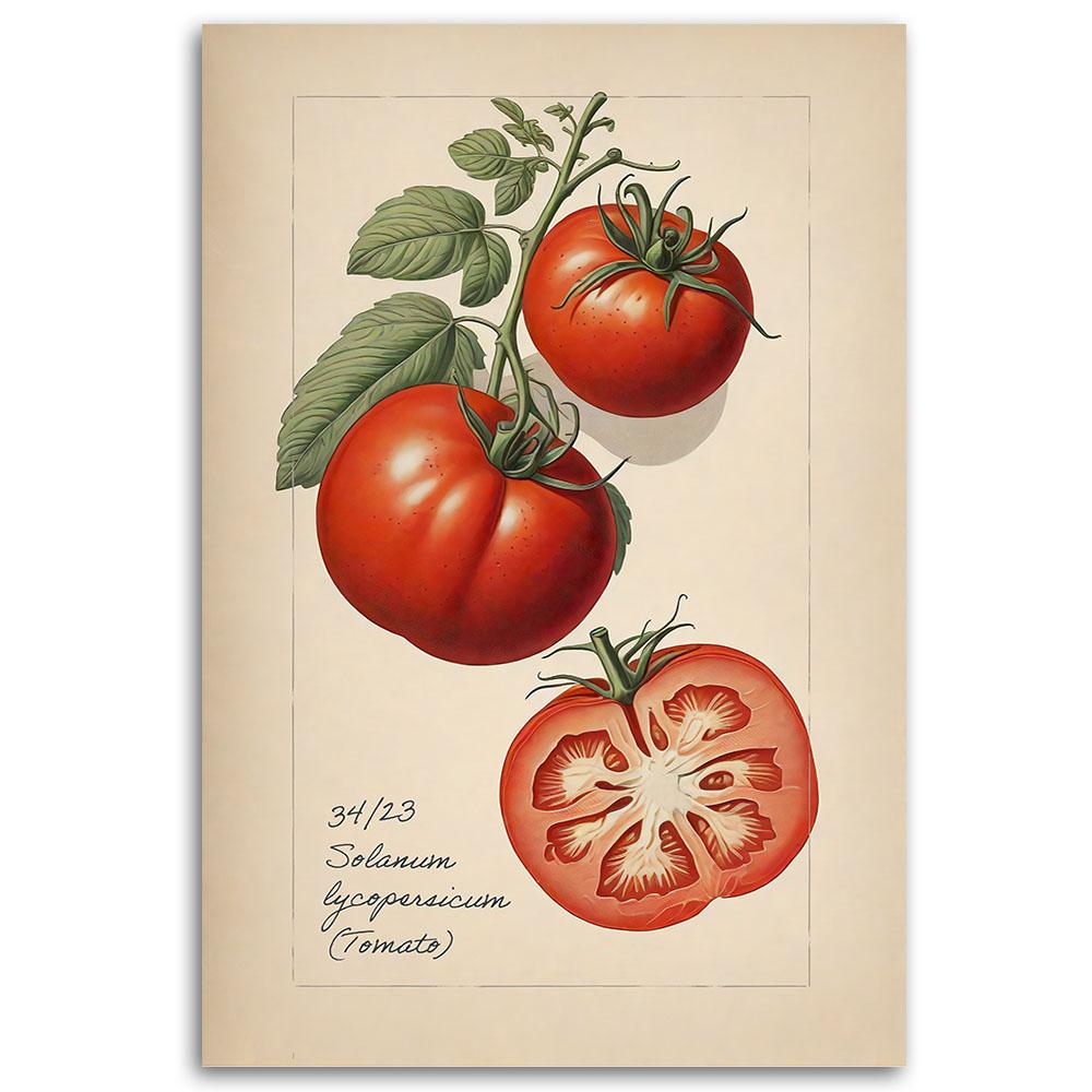 Canvas Print, Fruit Vintage Tomato