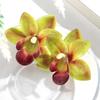 1 Pair Exaggerated Design Resin Petal Earring Elegant Boho Earrings  Women Accessories