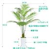 Artificial House Fake Tropical Palm Artificial House Air Inches Plants, Green, Trees, Flowers, Trees, Photocatalyst, Purifier, Deodorizer,