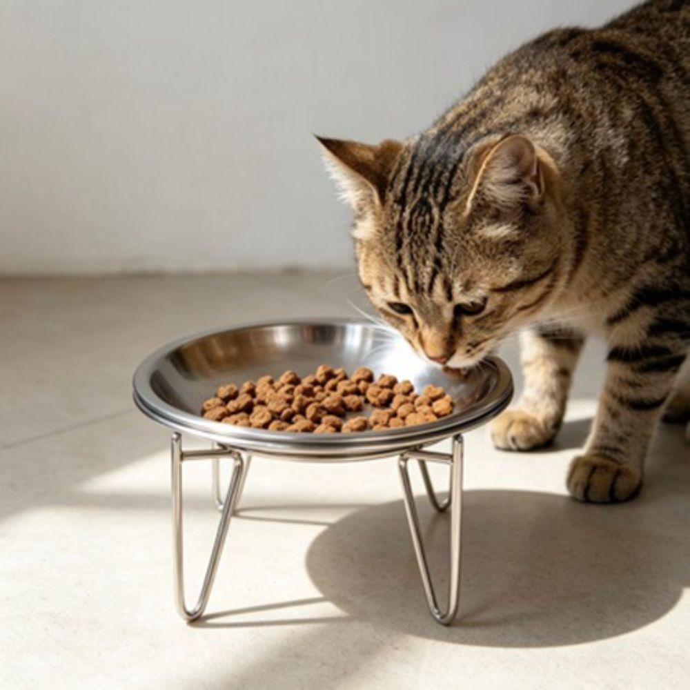 Large Capacity Stainless Steel Cat Bowl Rust Proof Shatterproof High Foot Dog Feeder With Stand Anti-Tipping