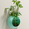 Hydroponic Silicone Vase Wall Hanging Terrarium Transparent Flower Vase Fish Tank Aquarium Container Flower Pot Home Decor
