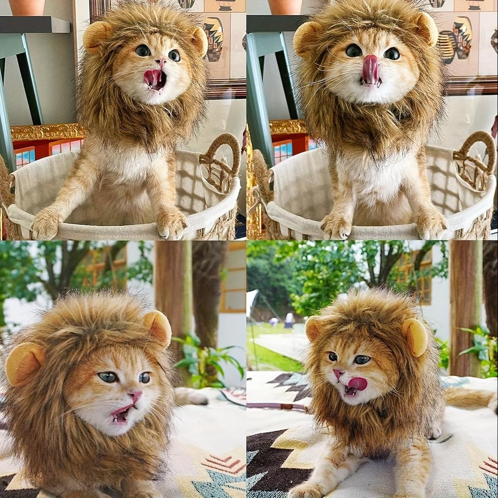 1 Katzenset Löwenmähne-Perücke für Haustiere, verstellbar und bequem, stilvolles Löwenhaar, Halloween, Weihnachten, Ostern, Party, Event, Katzenkopfbedeckung
