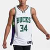 New Nike Nba Milwaukee Bucks City Edition Giannis Antetokounmpo 34 Dri FIT Swingman Jersey DB4035-100