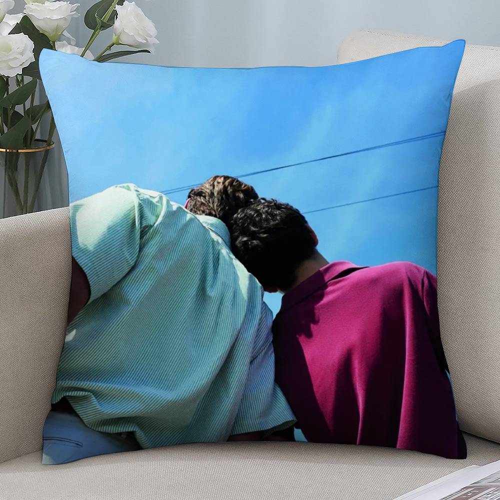 Gay Call Me Your Name Pillow Case Short Plush Double-sided Print Square Throw Pillow Covers Sofa Home Cushion Decor