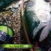 Varivas Max Power PE X8 Lime Green Fishing Line 200m 1.0mm