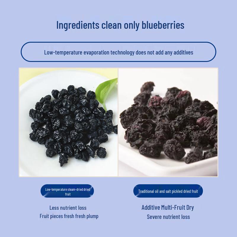 Yoogoo Paradise Unsweetened Dried Blueberries