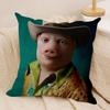 John Pork Is Calling Funny Cushion Cover Silky Short Plush DoubleSided Printed Pillow Case for Sofa All Seasons Home Decor Gift